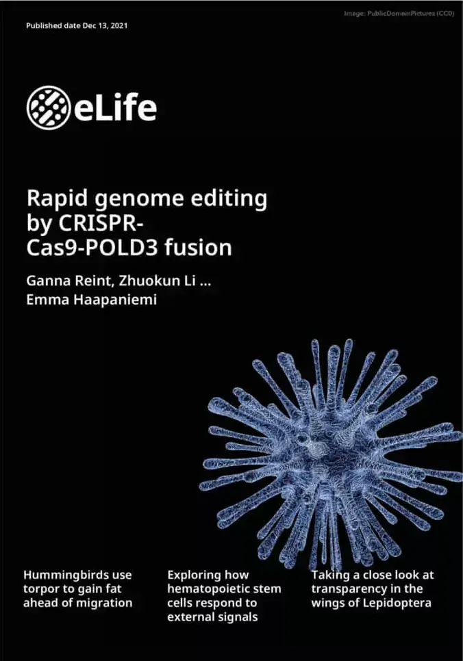Rapid Genome Editing