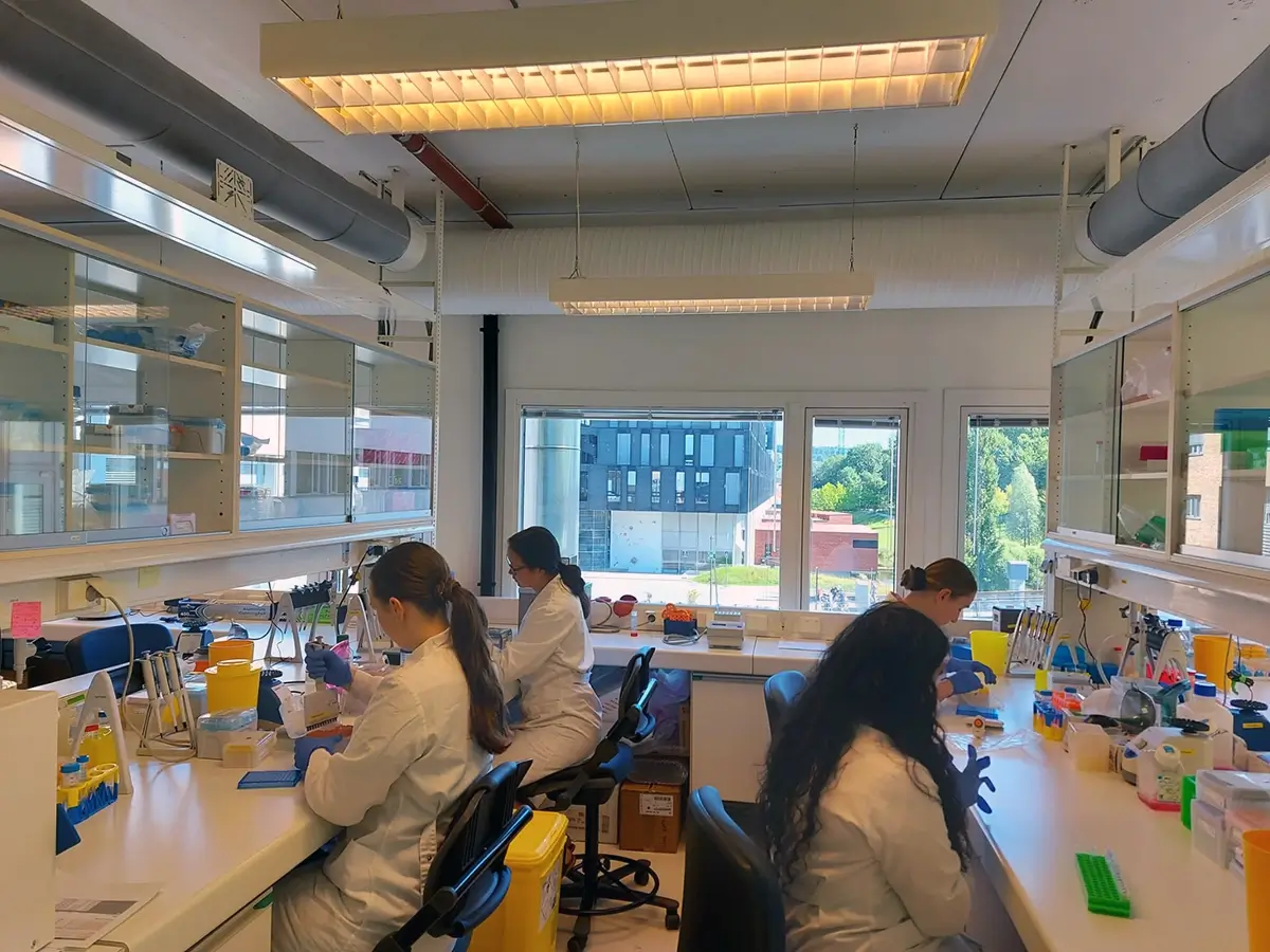 New master students group pipetting