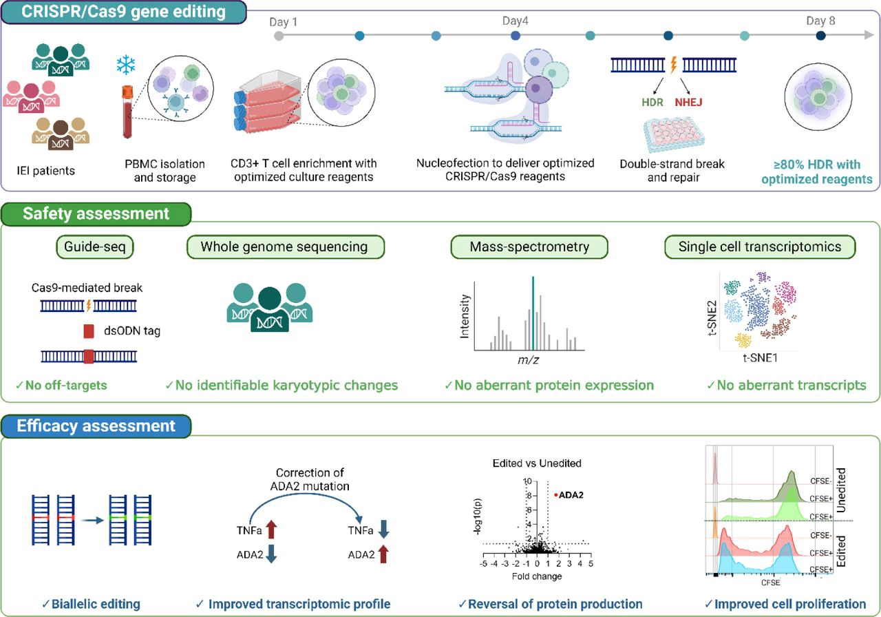 Graphical abstract