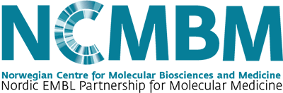 NCMBM logo