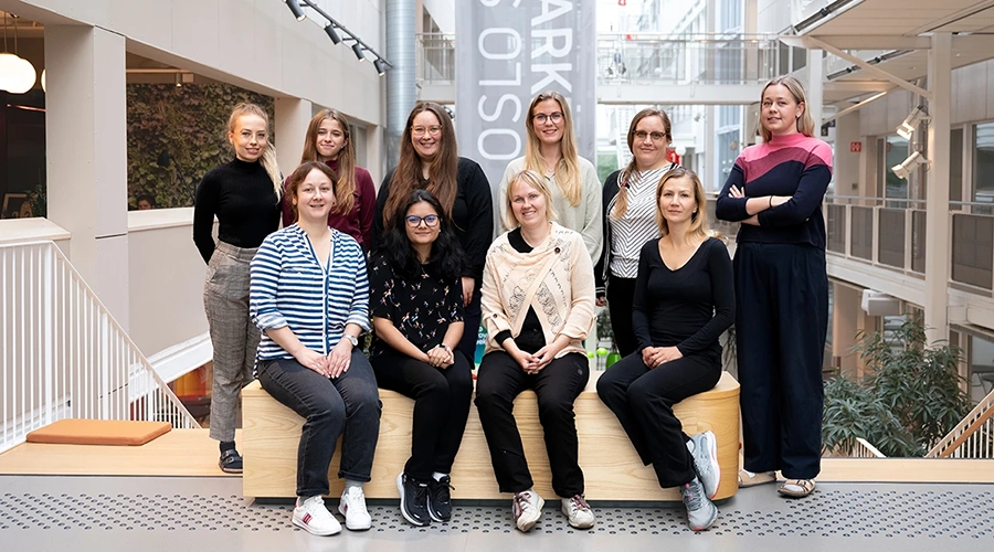 Haapaniemi Group