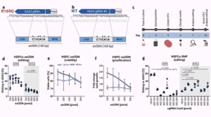 Editing of ADA2 Point Mutation in Human 2 Hematopoietic Stem Cells
