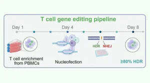 Precision T cell correction platform for Inborn Errors of Immunity