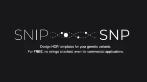 Our paper SNIPSNP has been approved for publication