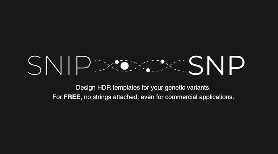 Our paper SNIPSNP has been approved for publication