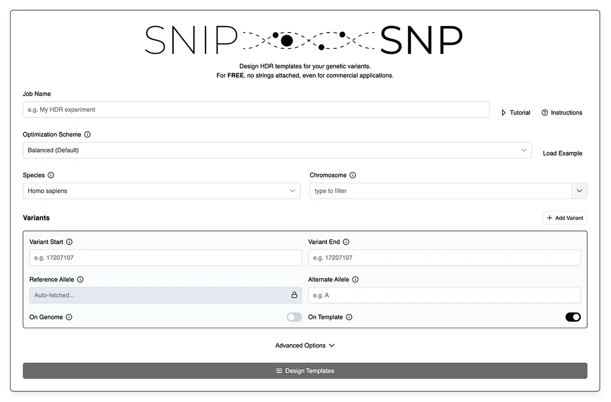 Screenshot of our SNIPSNP web tool