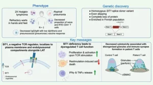 Graphical abstract