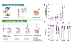 A figure from the paper